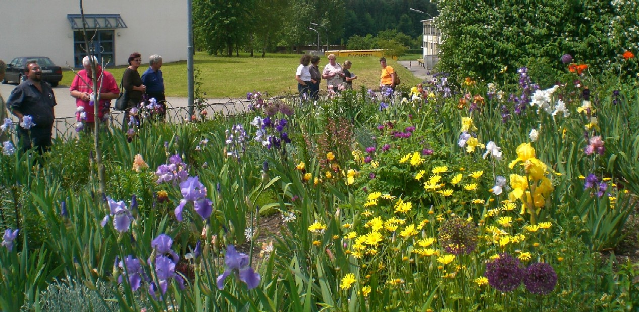 Brenneter Irisgarten