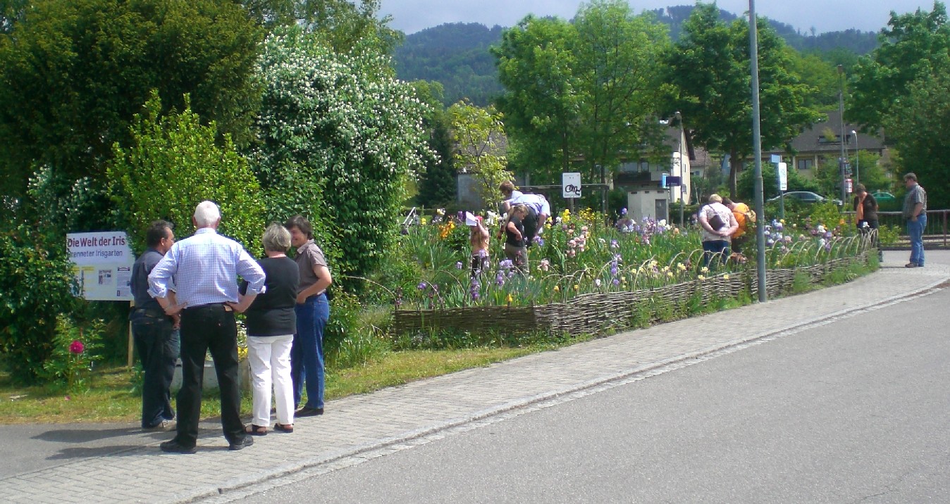 Brenneter Irisgarten